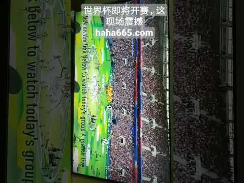 德甲,布兰特任意,球精准射门,万博manbetx体育平台,万博体育官网,万博体育app下载,ManBetX,SPORTS