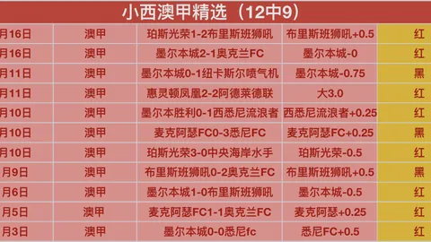 “中甲赛事：广州队一球领先却遭南京城市队逼平”